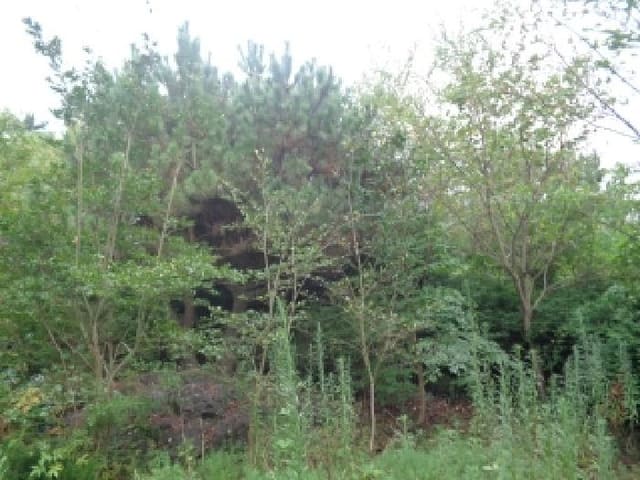 B000530202501300015172.jpg