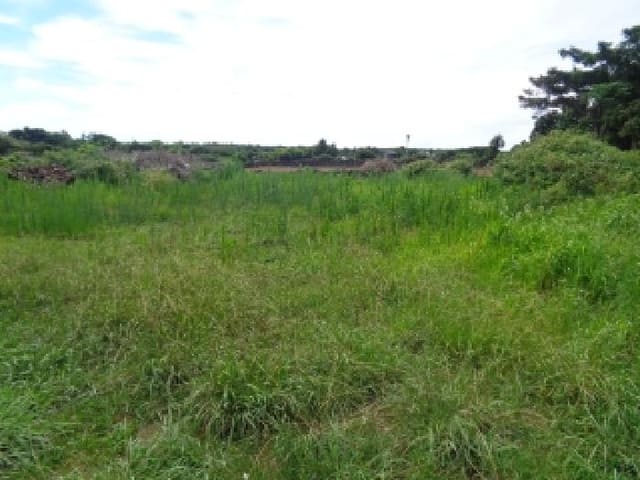 B000530202501300015362.jpg