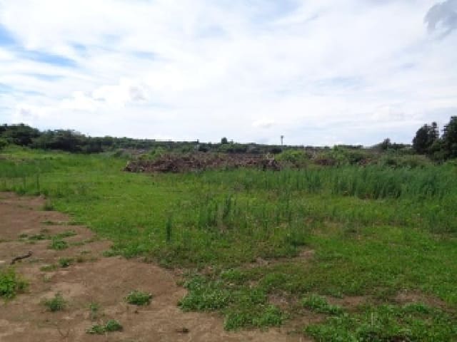 B000530202501300015364.jpg