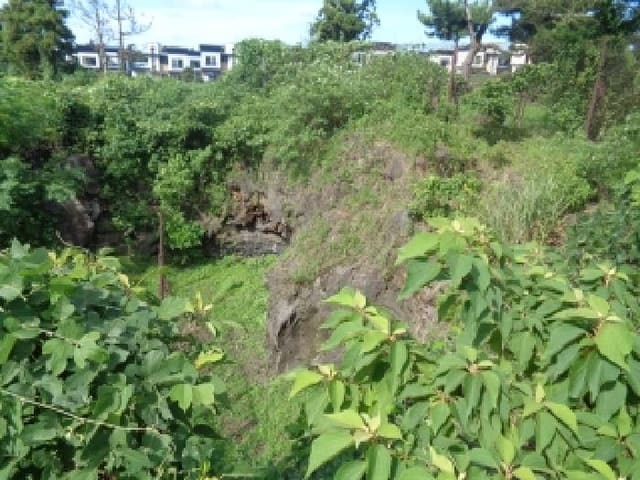 B000530202501300015454.jpg