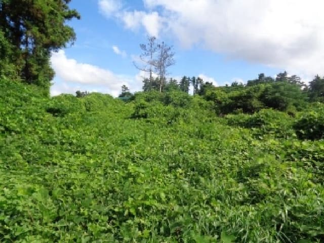 B000530202501300015451.jpg