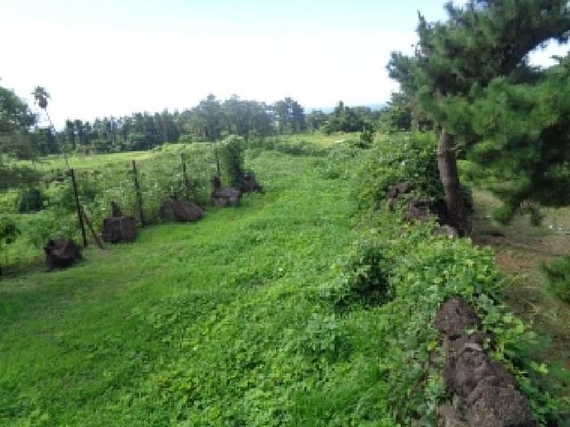 B000530202501300015452.jpg