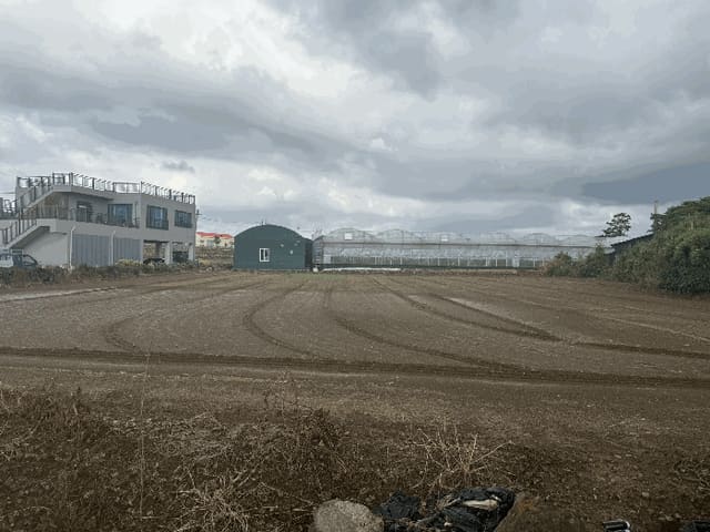 B000530202501300015683.jpg