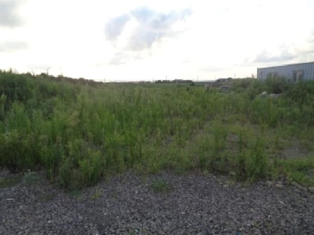 B000530202501300015821.jpg