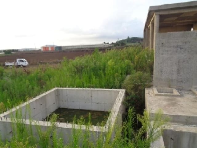 B000530202501300015823.jpg