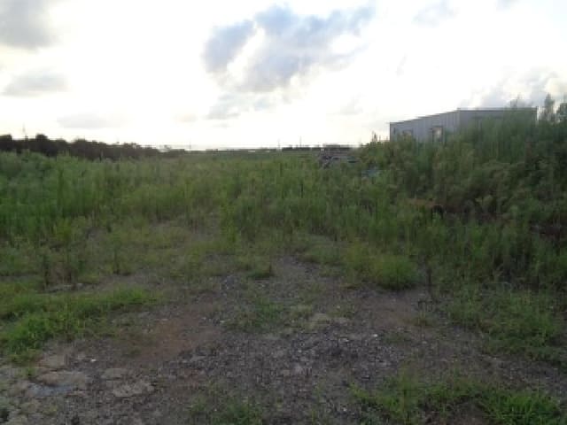 B000530202501300015822.jpg