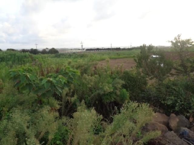 B000530202501300015824.jpg