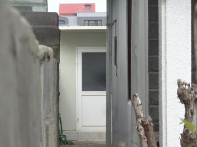 B000530202501300015893.jpg