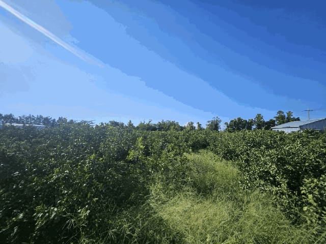 B000530202501300015965.jpg