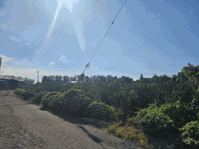 B000530202501300015963.jpg