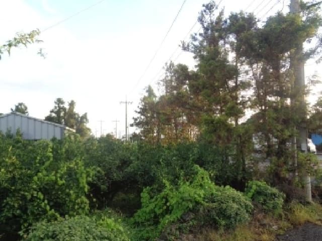 B000530202501300015961.jpg