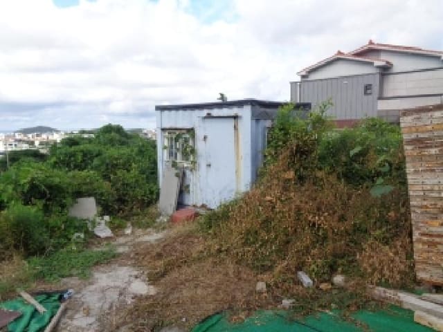 B000530202501300016194.jpg