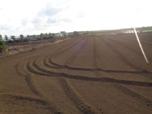 B000530202501300016204.jpg