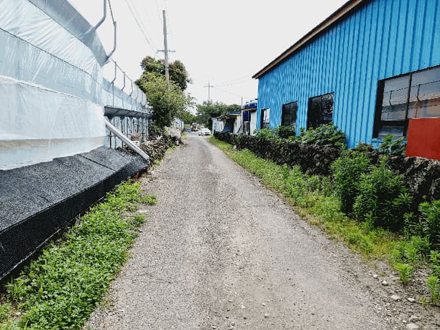 B000530202501300016224.jpg