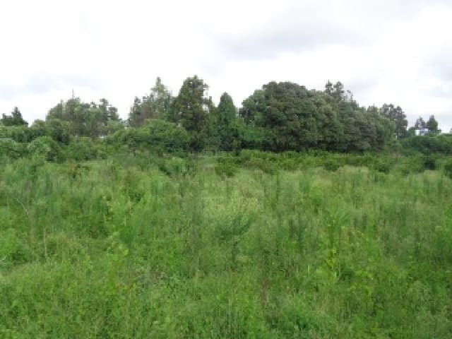 B000530202501300016232.jpg