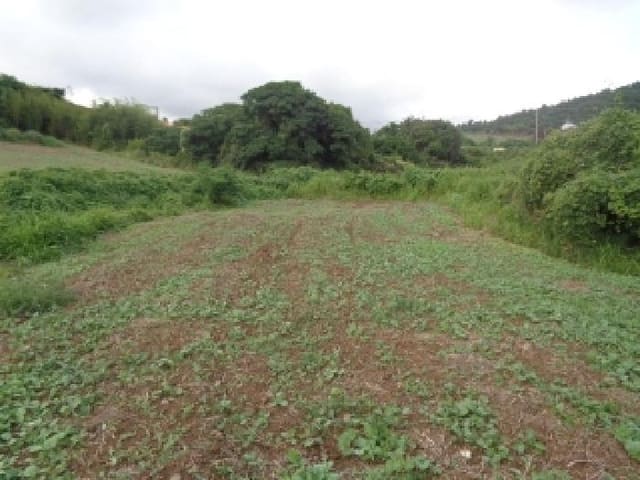B000530202501300016252.jpg