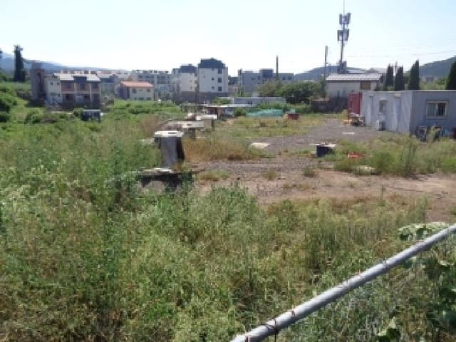 B000530202501300016263.jpg