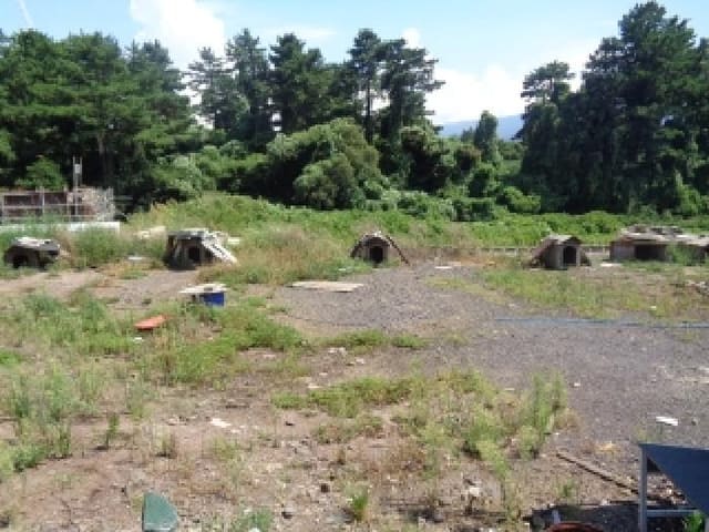 B000530202501300016262.jpg