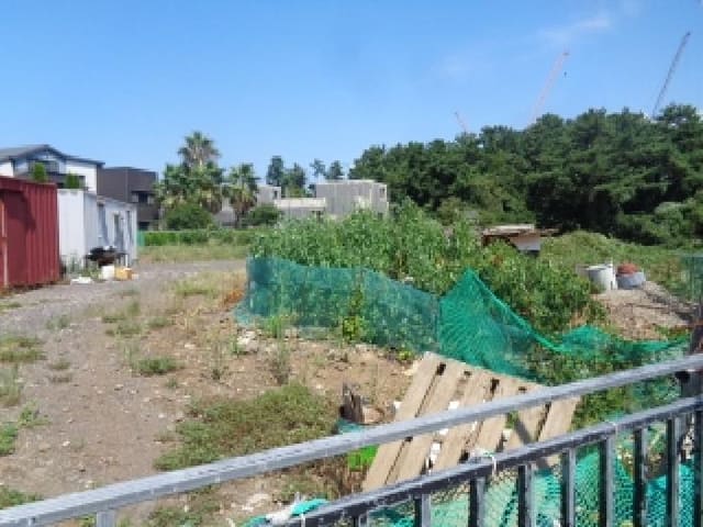 B000530202501300016261.jpg