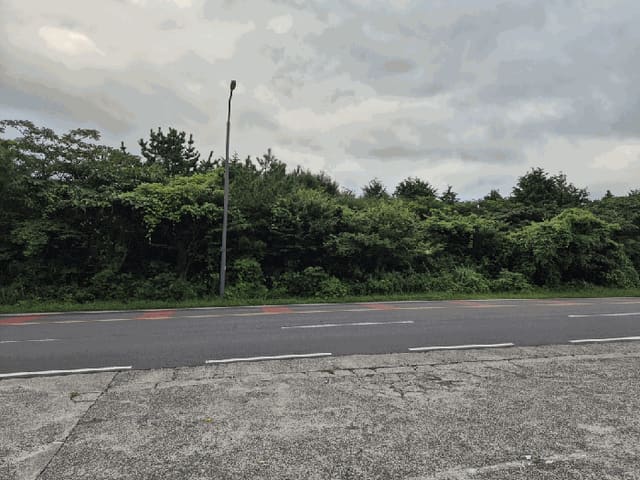 B000530202501300016284.jpg