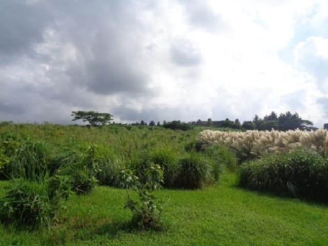 B000530202501300016353.jpg