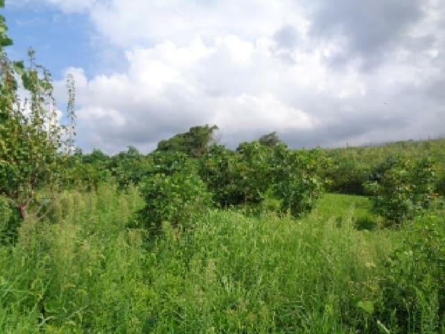 B000530202501300016352.jpg