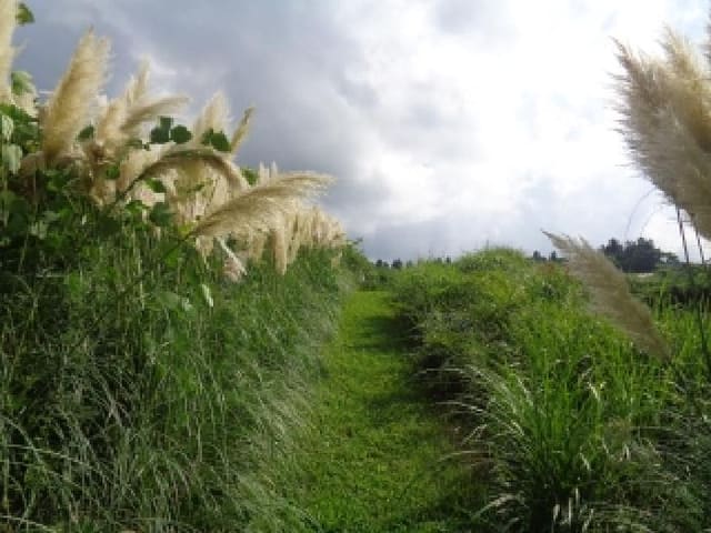 B000530202501300016351.jpg