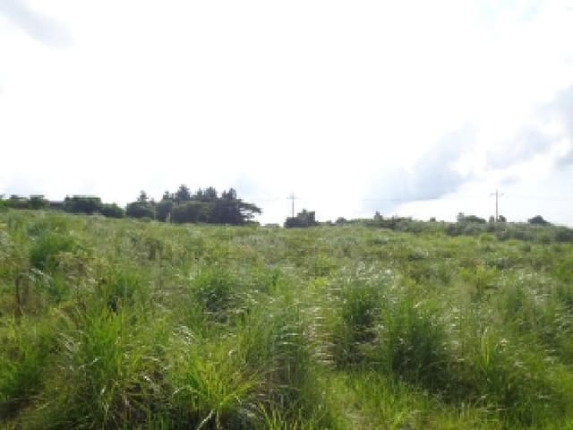 B000530202501300016354.jpg