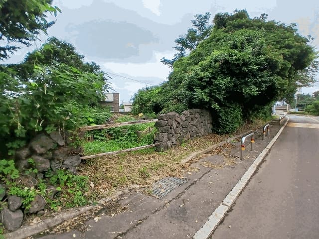 B000530202501300016394.jpg