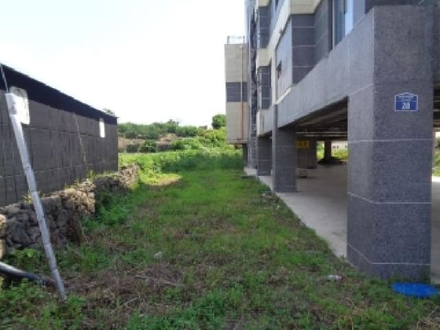 B000530202501300016401.jpg