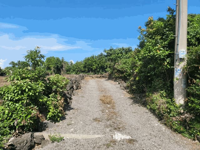 B000530202501300016454.jpg