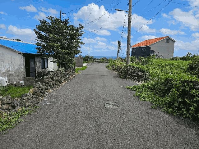 B000530202501300016474.jpg