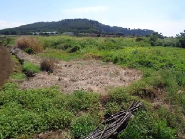 B000530202501300016591.jpg