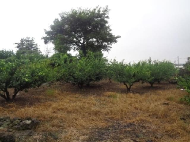 B000530202501300016744.jpg