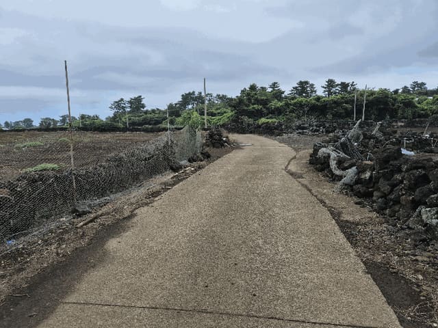 B000530202501300016863.jpg