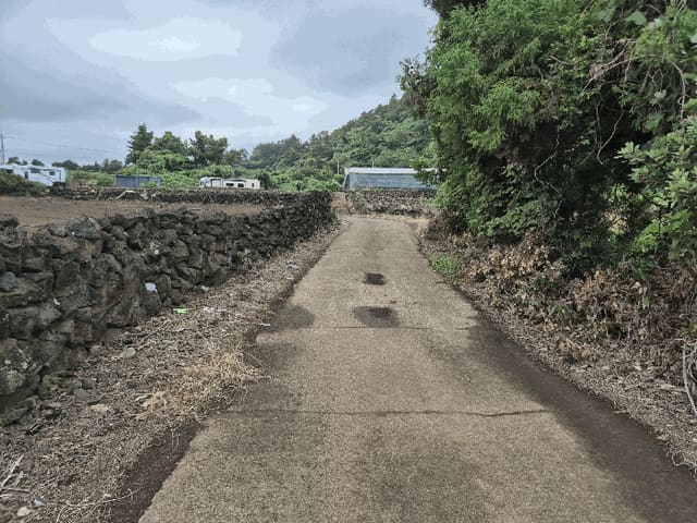 B000530202501300016864.jpg