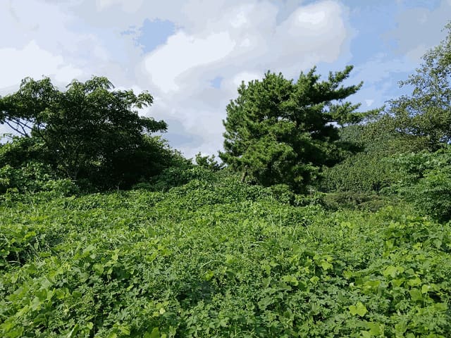 B000530202501300016922.jpg