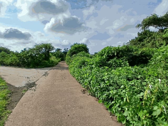 B000530202501300016923.jpg