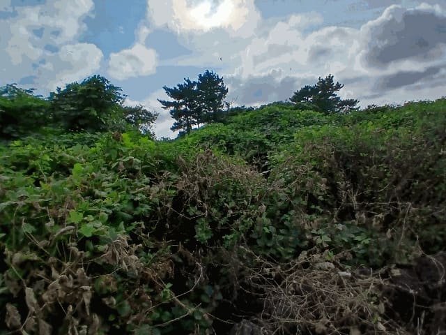 B000530202501300016924.jpg