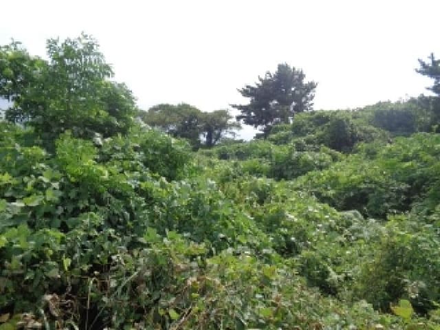B000530202501300016921.jpg
