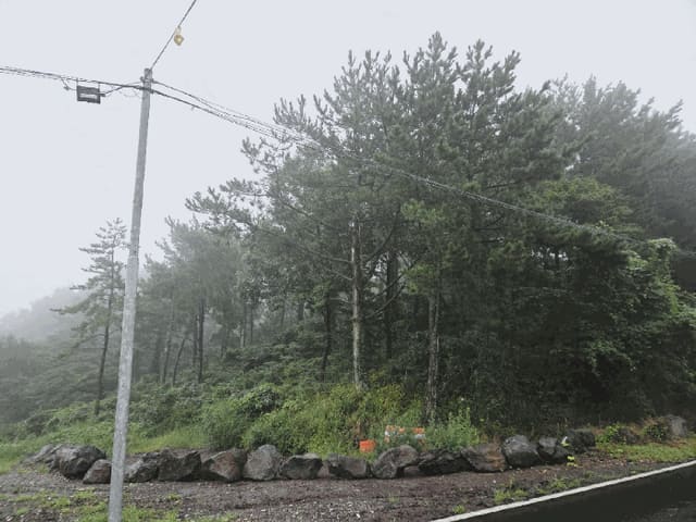 B000530202501300016934.jpg
