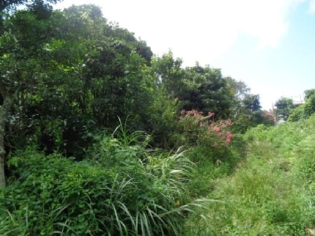 B000530202501300016964.jpg