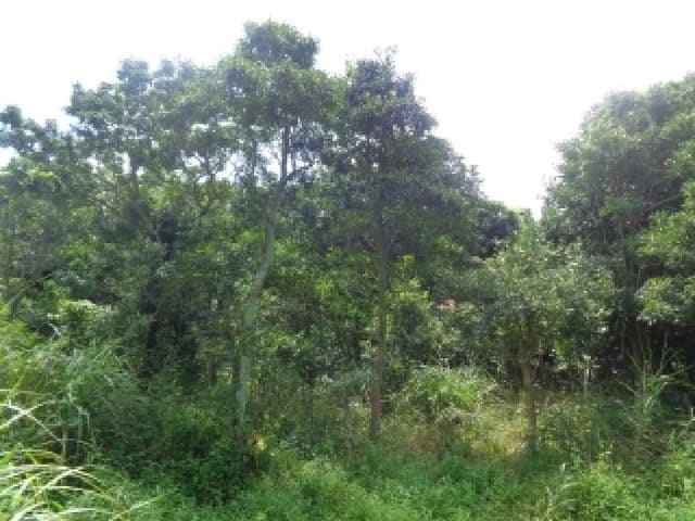 B000530202501300016963.jpg