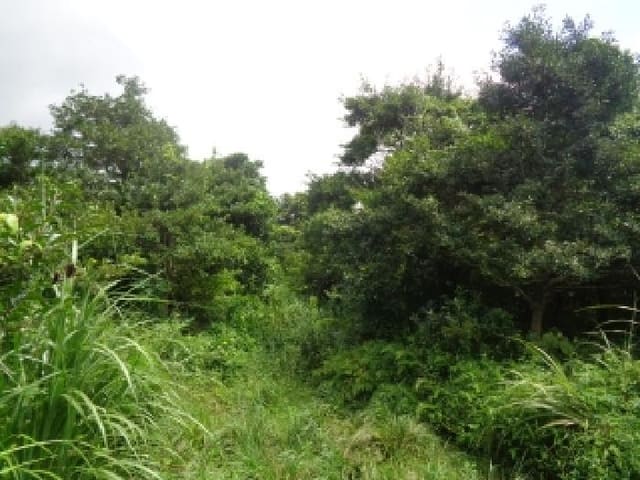 B000530202501300016962.jpg