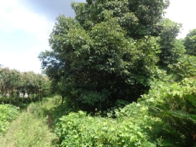 B000530202501300016961.jpg