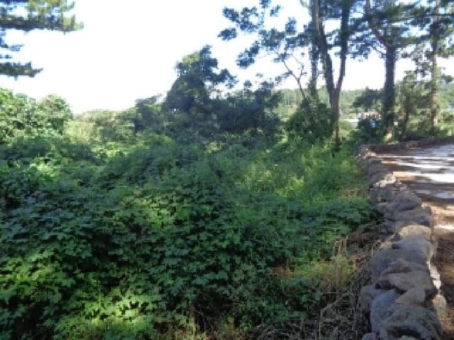 B000530202501300017014.jpg