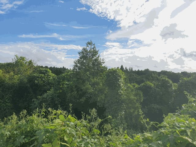 B000530202501300017102.jpg