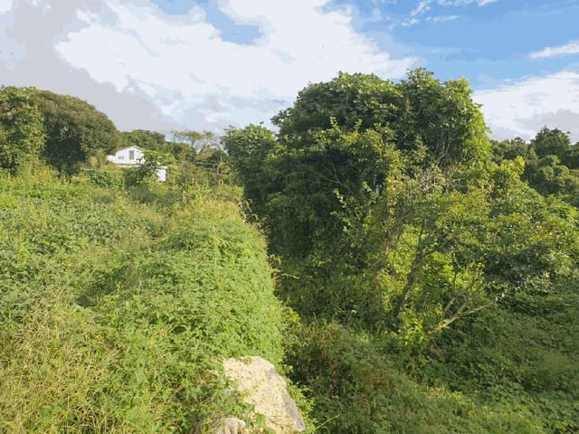 B000530202501300017104.jpg
