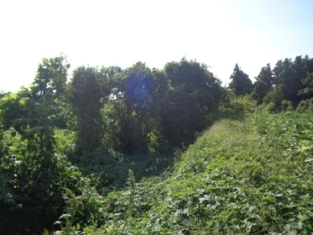 B000530202501300017101.jpg