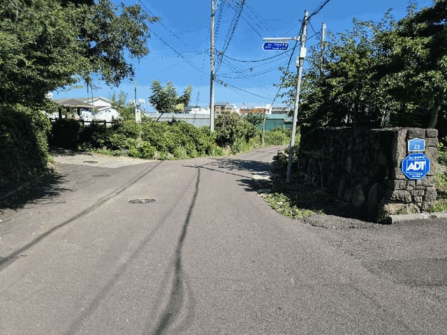 B000530202501300017114.jpg